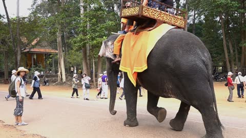 People riding an elephant in the village