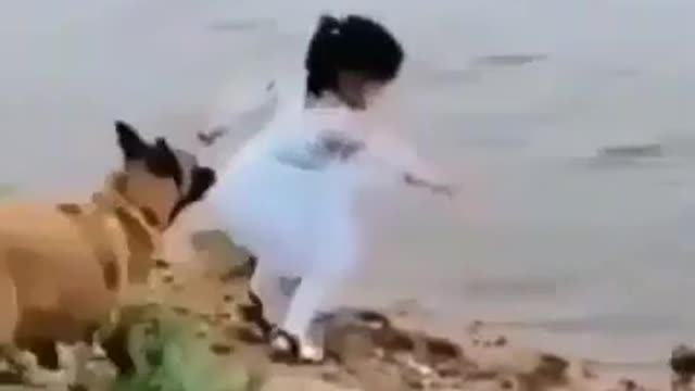 Dog Saved Little Girl Like Hero ,True Heroes