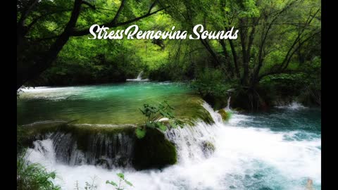 Nature sounds/ Relaxing River Sounds/ Release anxiety / breathe