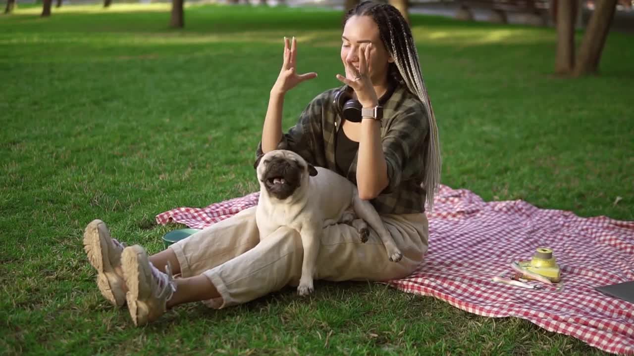 Attractive woman holds a little pug on her knees it actively whirls and tries to bite gently