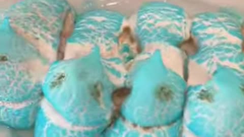 They Grew and then Morphed in the Microwave they got so big and color changed, so cool Please be adv