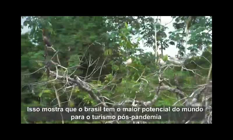 Um país melhor com nosso presidente bolsonaro