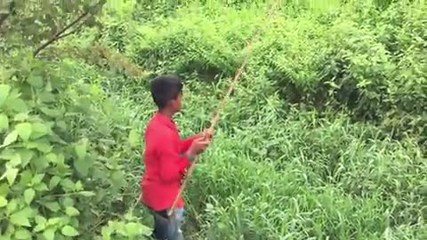 Wow! Amazing Child Catch a Big Frog - How to Fishing Frog - Net Fishing