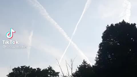 Your Government Loves You