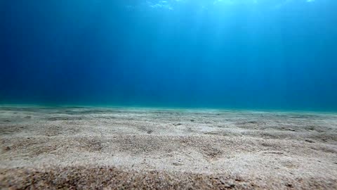 Clear underwater timelapse