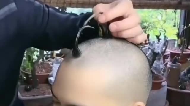 the most bizarre haircut in the world