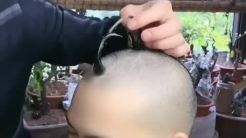 the most bizarre haircut in the world