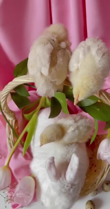 Easter Celebration Photography