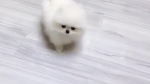 Jump with excitement
