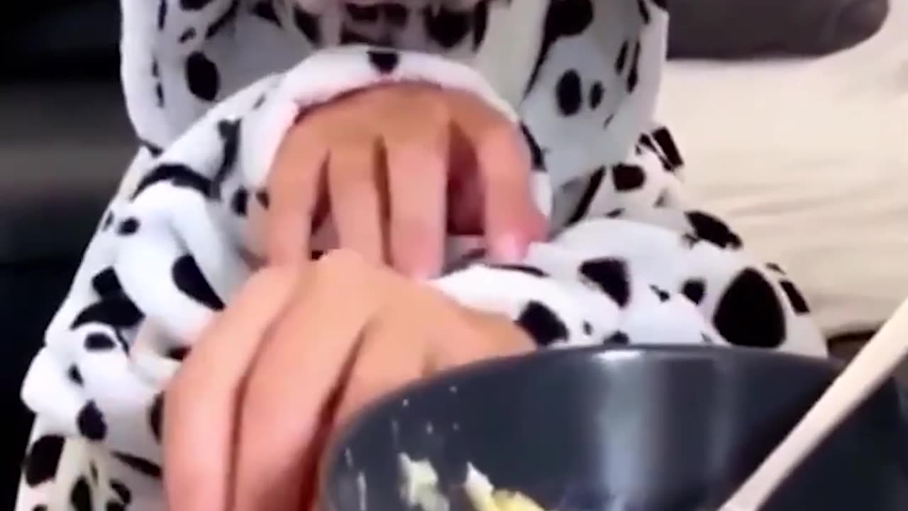 funny animals