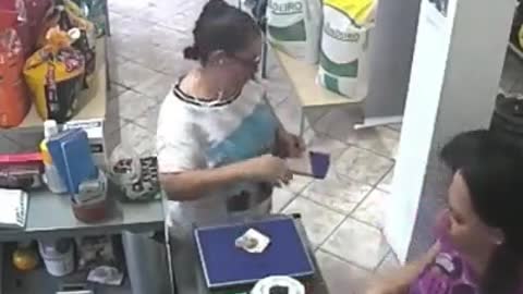 Passarinho do lula