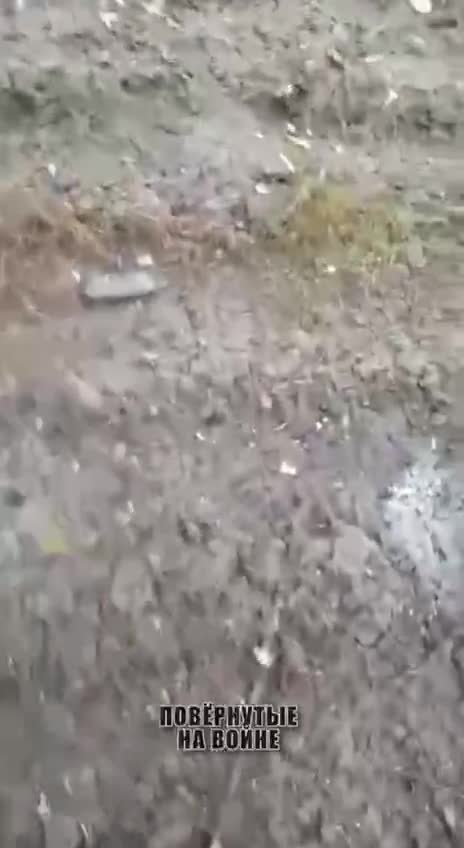 The result of yesterdays AFU attack in Kherson direction