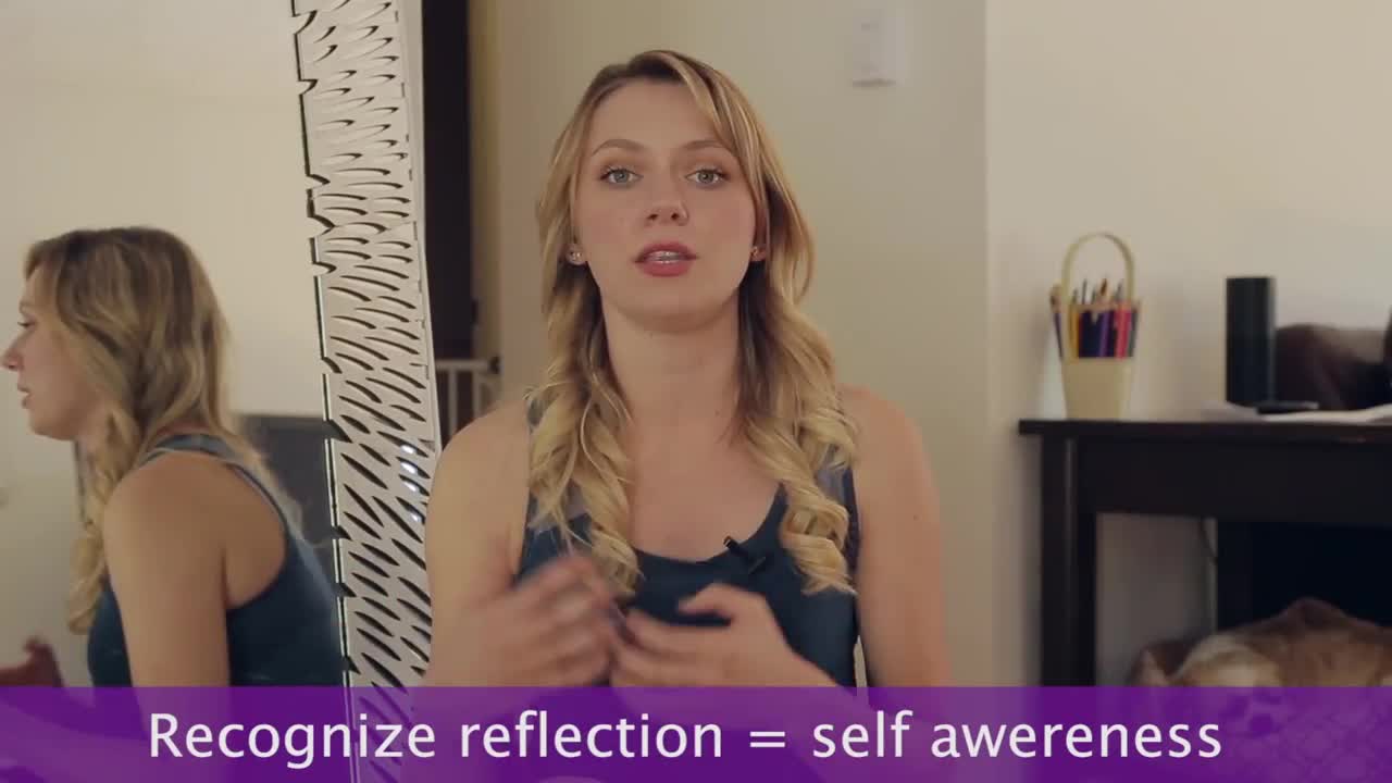 Do Dogs Recognize Their Reflection In The Mirror?