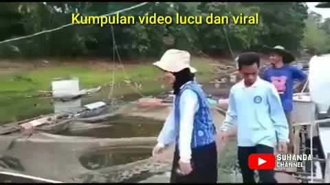 Collection of Funny and Viral Videos 2023