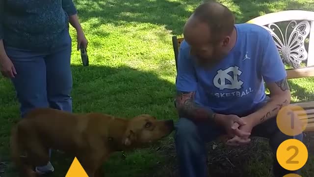 In The Genes-Dogs Are So Happy To See Their Parents Again Cats And Dogs