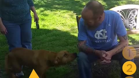 In The Genes-Dogs Are So Happy To See Their Parents Again Cats And Dogs