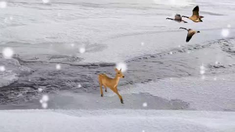 Horses and deer in the fairy tale world, in the white dream