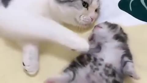 Mother loves for her Baby