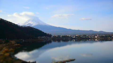 Relaxing Vibe with Nature in Japan