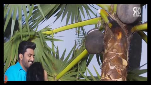 नारियल के पेड़ पर चढ़ने का देसी जुगाड़ coconut tree