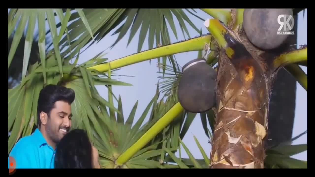 नारियल के पेड़ पर चढ़ने का देसी जुगाड़ coconut tree