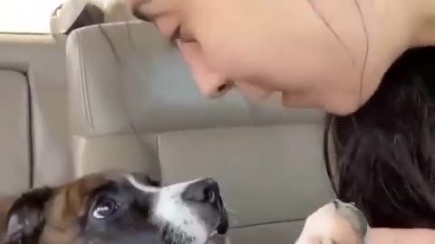 Funny dog videos🥵🥵🥵🥵🥵 new funny.