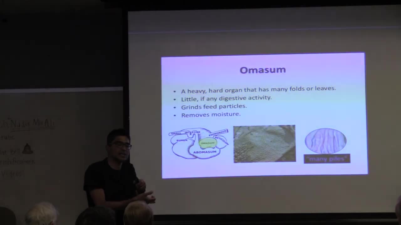 Are humans carnivorous based on gut physiology? Expensive Tissue Hypothesis