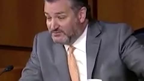 Ted Cruz SCHOOLS Democrat Senator Who Calls Him a Liar