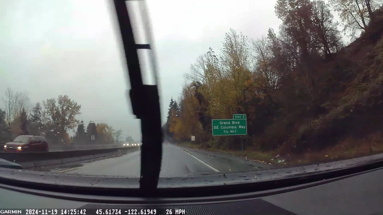 Huge Branch Crashes Onto Highway During Bomb Cyclone