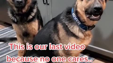 There are our last video, no one care me
