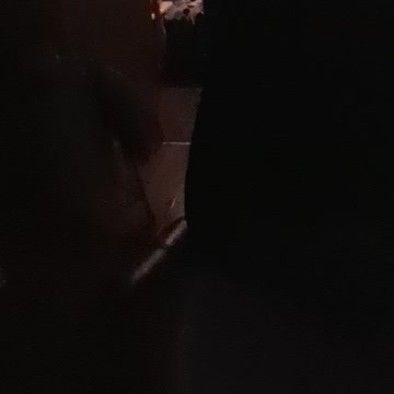 Killer slug gets girl to climb a wall