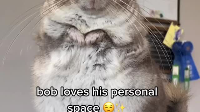 Tag your Bob and Larry 😂