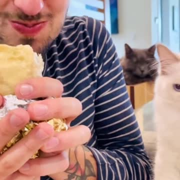 funny|prank|jokes|funny jokes|dad jokes|funny memes|funny video|fun|laughing|funny animal|knock