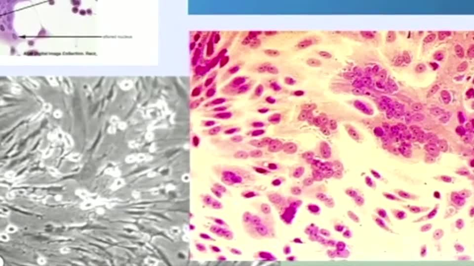 Virology Debunks Corona