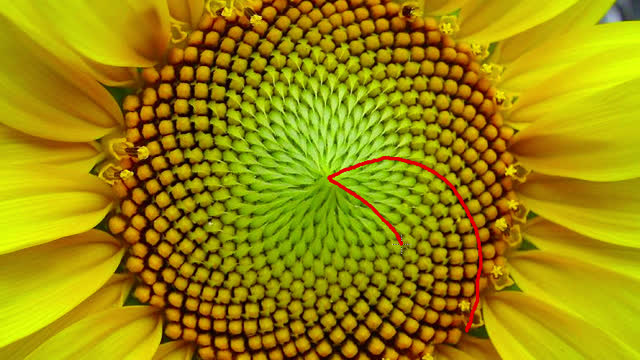 Introduction to Number Patterns