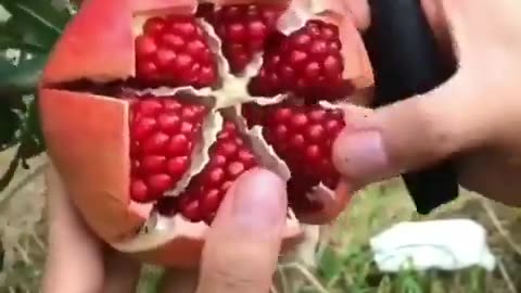 An innovative way to peel a pomegranate