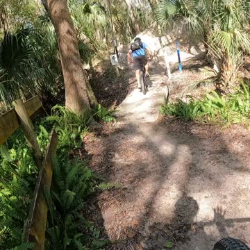 Alafia State Park 1