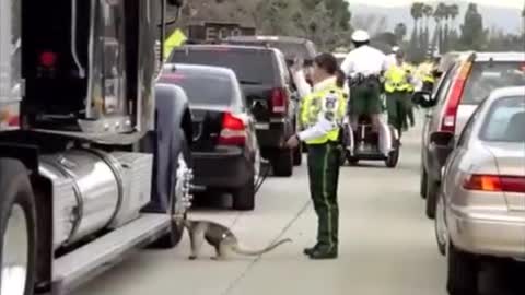 The Green Police