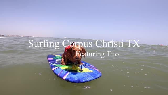 Surfing Corpus Christi Texas