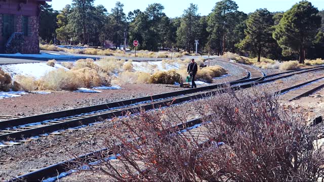 Grand Canyon Run 1/9/2021