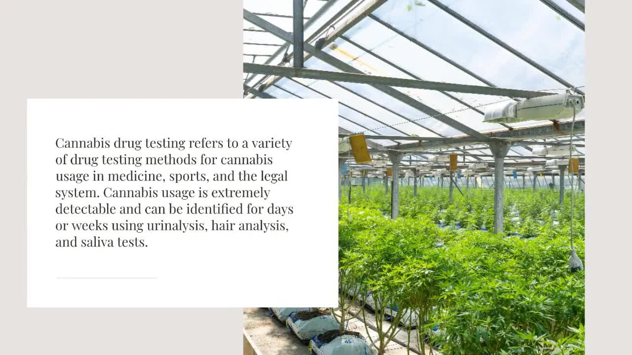 Information about Cannabis Analysis | IROA Tech