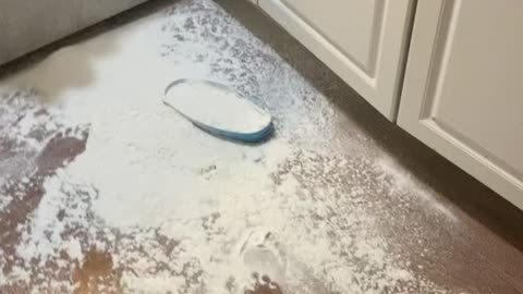 Make sure the lids are tight on the containers!