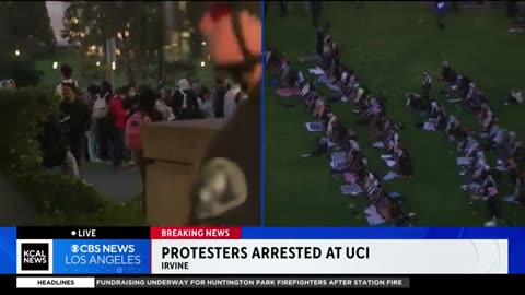 University of California Protests and Arrests