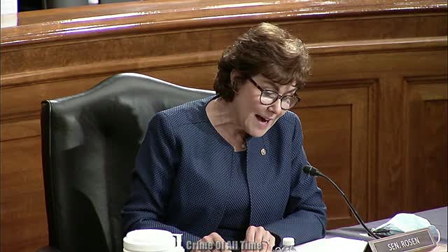 Senator Rosen w/Mayorkas & FBI Director Wray Testify or TEST-A-LIE? 9/21/21