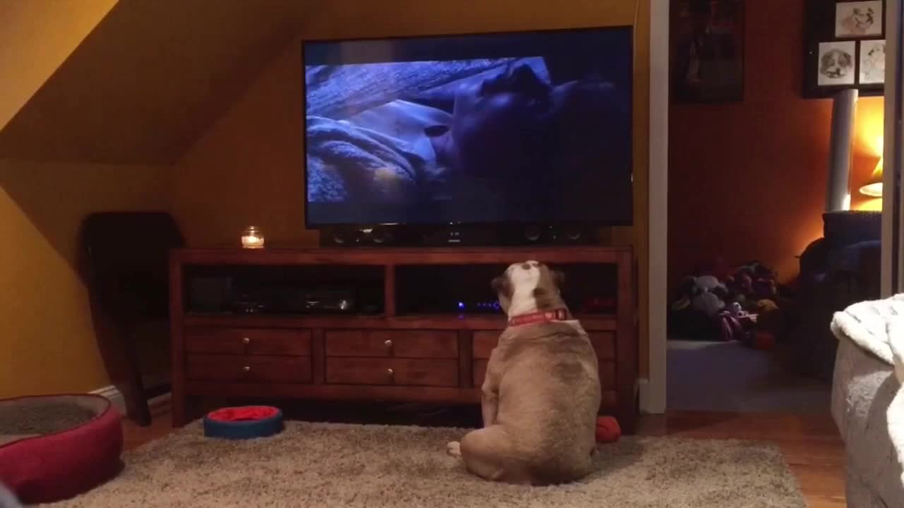 Bulldog takes on one of horror's scariest monsters!