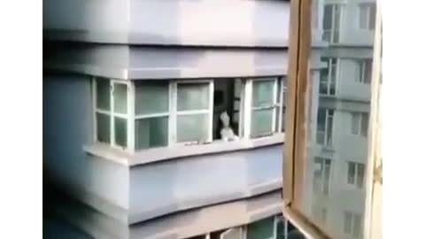Best Funny Animal Videos 2022 😺 Funny Dog Videos 2022 😁 Funniest Dog Videos 😁😇