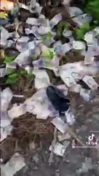 Vénézuela Tiến Lên Thiên Đàn Xã Nghĩa HẬU QUẢ CỦA IN BƠM TIỀN & LẠM PHÁT