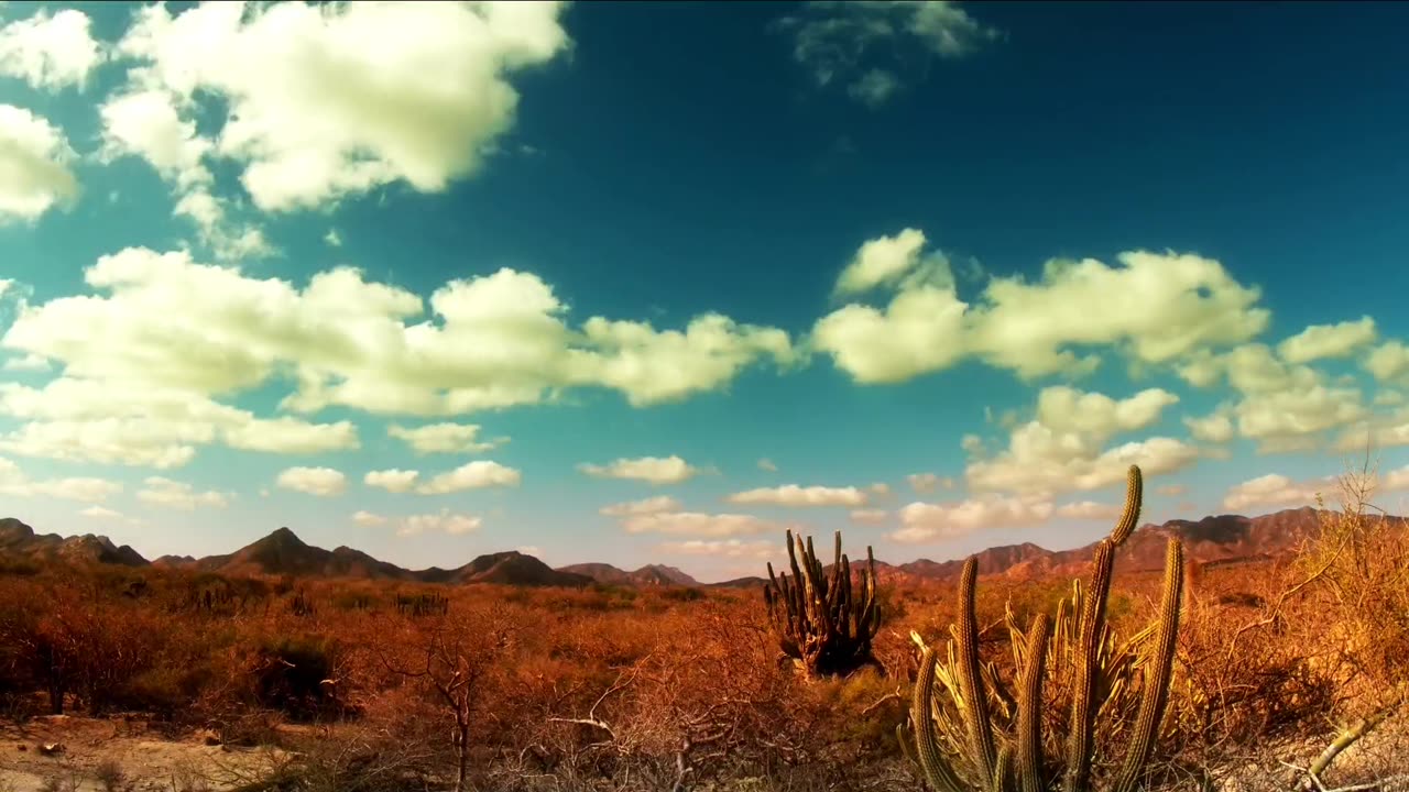 Nature
