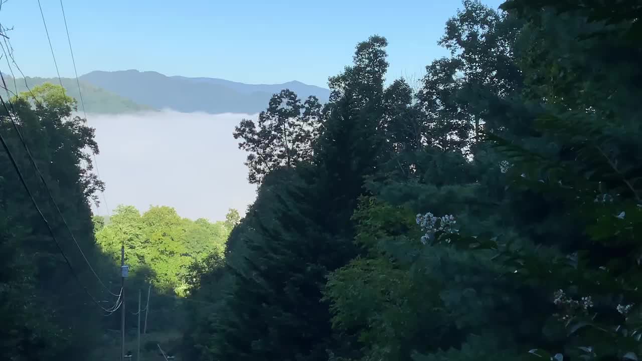 Good morning from the Treehouse 🌳 NW NC God’s country #MAGA country ❤️✝️🇺🇸 Falling clouds