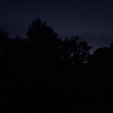 AR15 Muzzle Flash - Night Fire